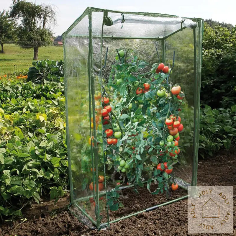 Nature Tomatdrivhus 100X50X150 Cm