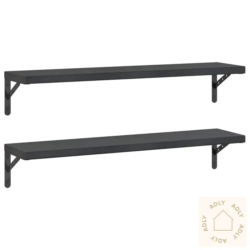 Vegghyller 2 Stk 100X23,5 Cm Svart Rustfritt Stål