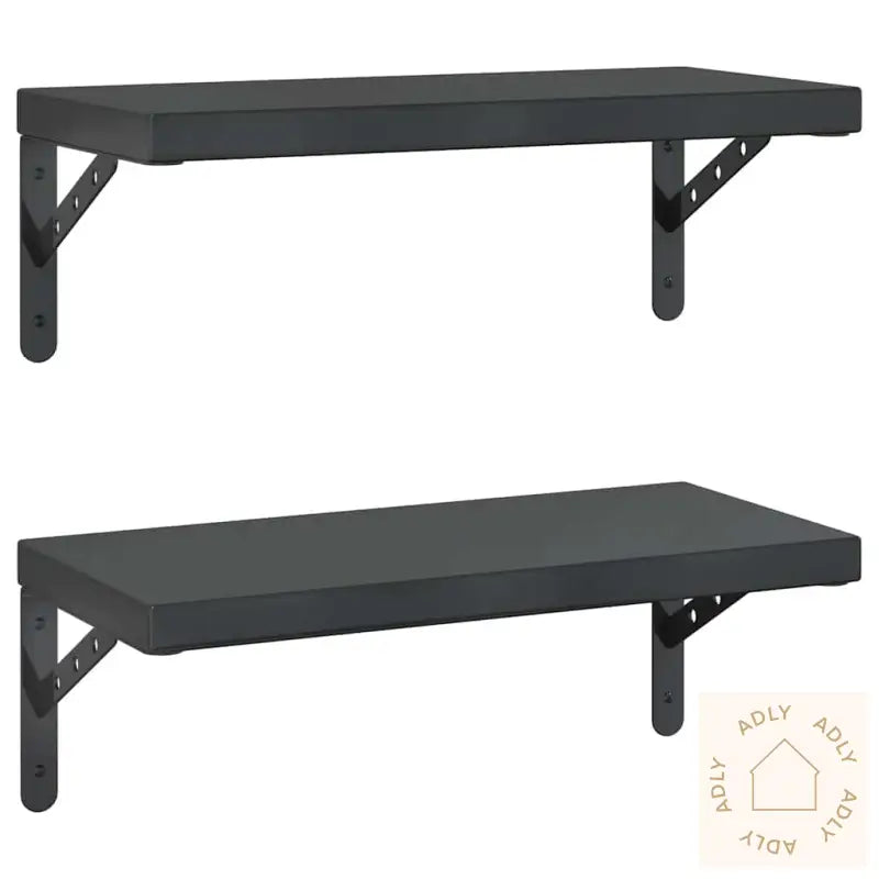 Vegghyller 2 Stk 50X23,5 Cm Svart Rustfritt Stål