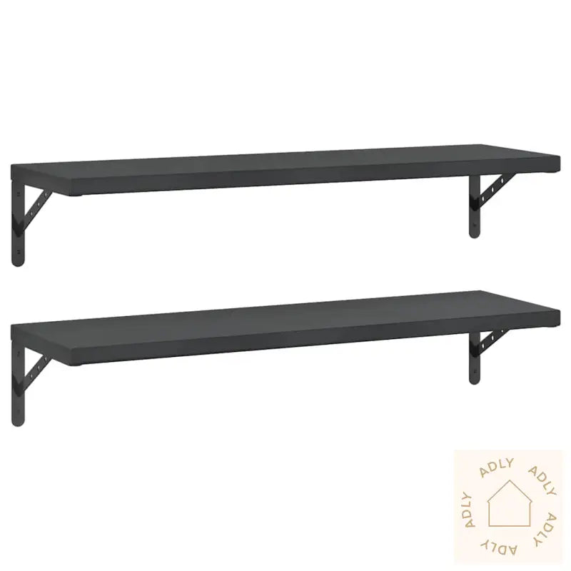 Vegghyller 2 Stk 100X30 Cm Svart Rustfritt Stål