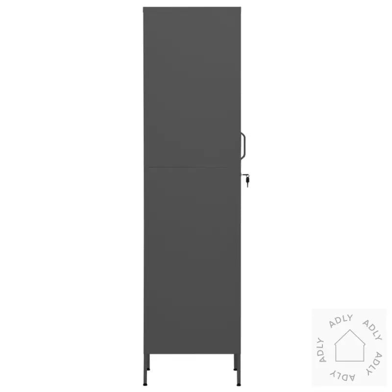 Oppbevaringsskap Antrasitt 35X46X180 Cm Stål