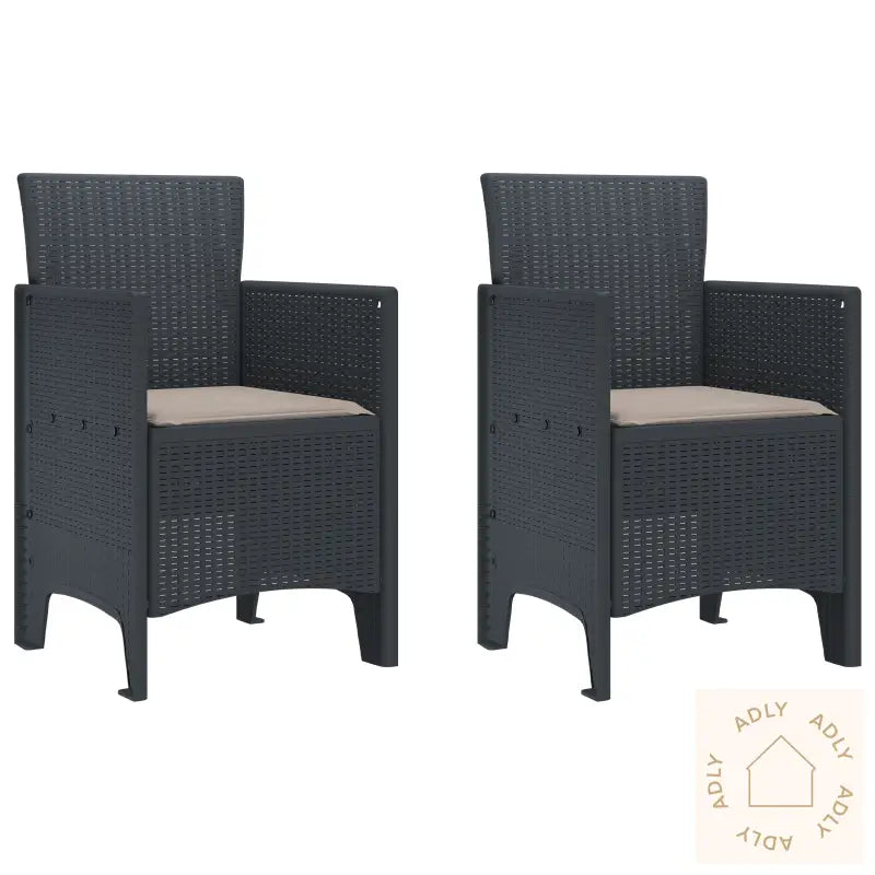 Hage Stoler Med Puter 2 Stk Antrasitt Poly Rattan