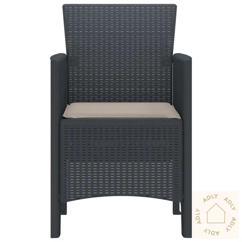 Hage Stoler Med Puter 2 Stk Antrasitt Poly Rattan