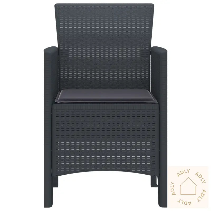 Hage Stoler Med Puter 2 Stk Antrasitt Poly Rattan