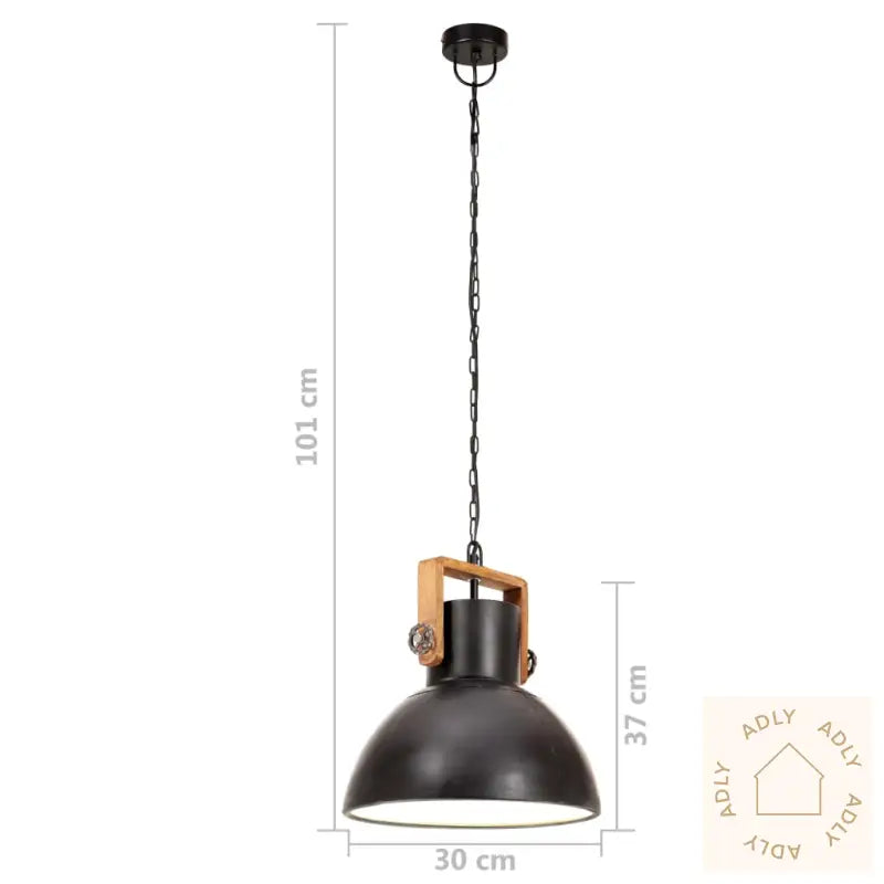 Industriell Hengelampe 25 W Svart Rund 30 Cm E27