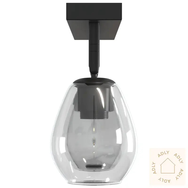 Taklamper Med Justerbar Glasslampe I Antrasitt, E27