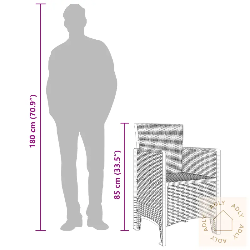 Hage Stoler 2 Stk Antrasitt Poly Rattan