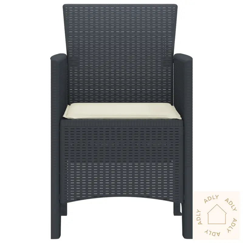 Hage Stoler Med Puter 2 Stk Antrasitt Poly Rattan