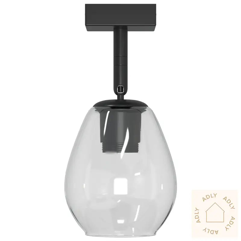 Taklamper Med Justerbar Glasslampe Anthracite E27