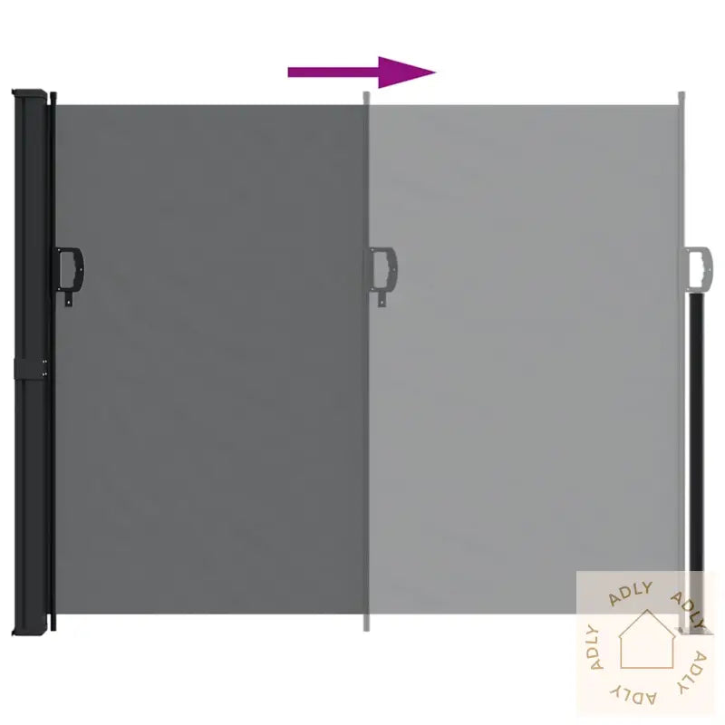 Uttrekkbar Sidemarkise Svart 160X300 Cm