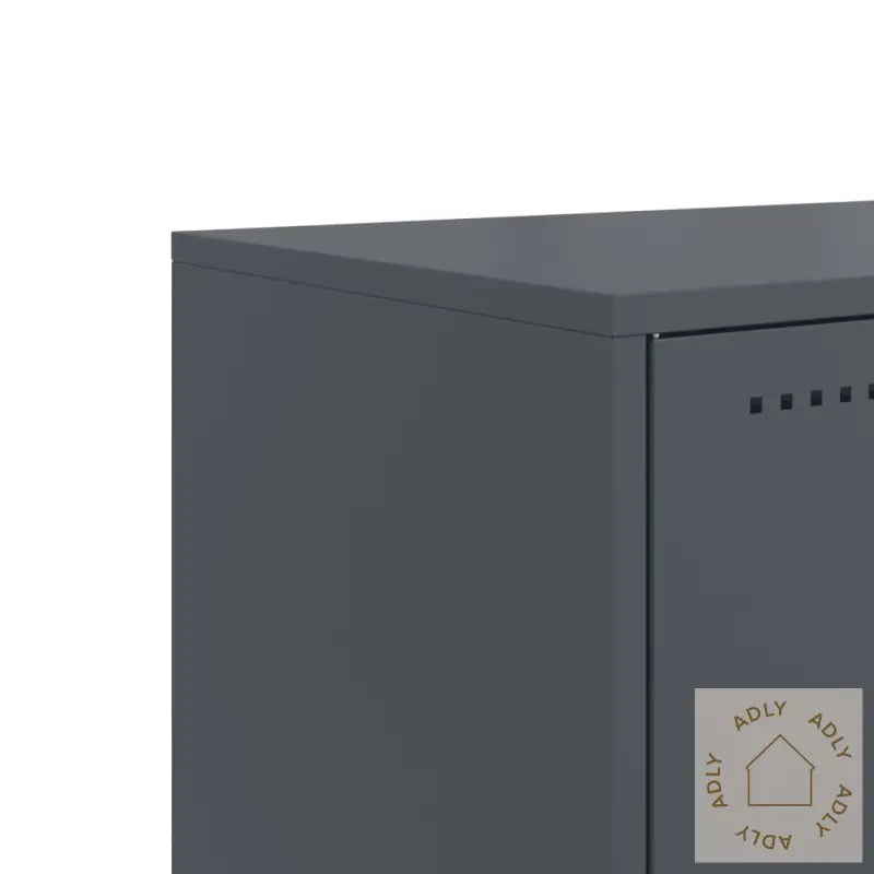 Tv-Benk Antrasitt 100,5X39X60,5 Cm Stål