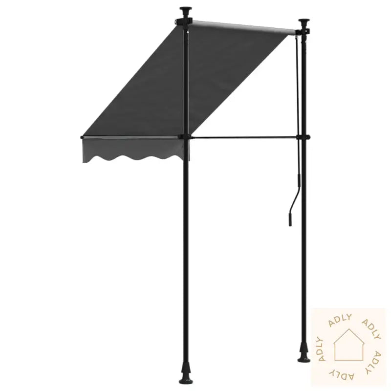 Uttrekkbar Markise Antrasitt 100X150 Cm Stoff Og Stål