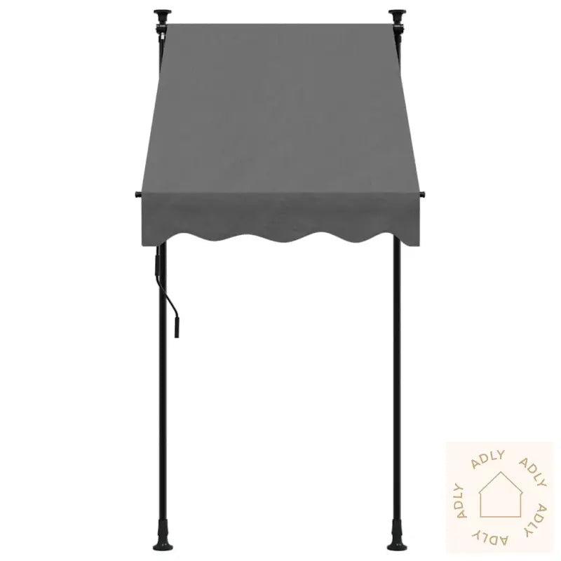 Uttrekkbar Markise Antrasitt 100X150 Cm Stoff Og Stål