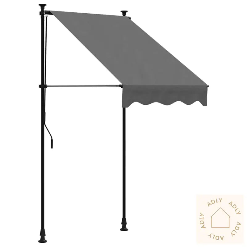 Uttrekkbar Markise Antrasitt 100X150 Cm Stoff Og Stål