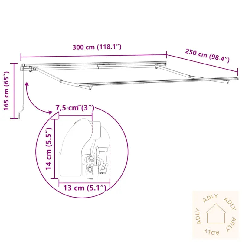 Manuell Uttrekkbar Markise Antrasitt Og Hvit 300X250 Cm
