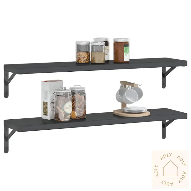 Vegghyller 2 Stk 100X23,5X3 Cm Svart Rustfritt Stål