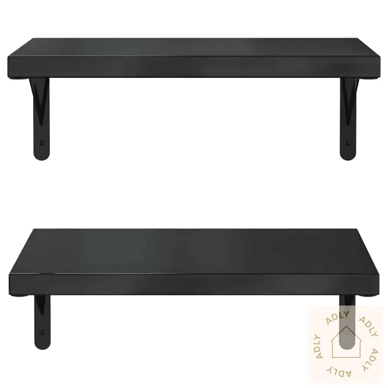 Vegghyller 2 Stk 50X30 Cm Svart Rustfritt Stål