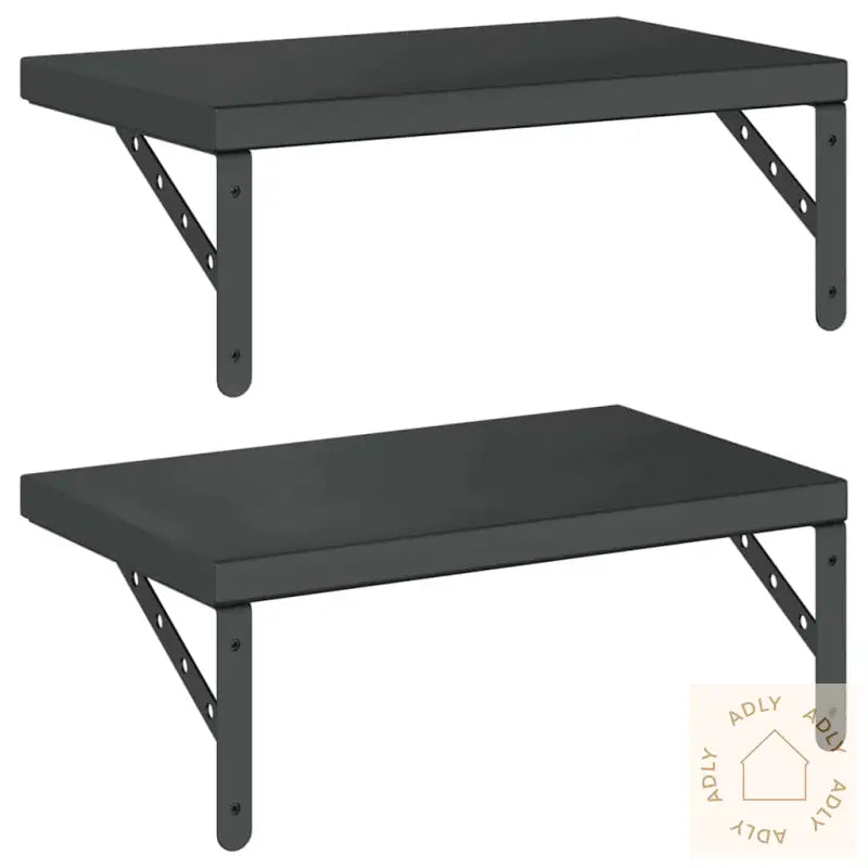 Vegghyller 2 Stk 50X30 Cm Svart Rustfritt Stål