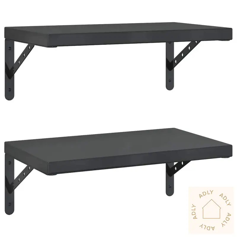 Vegghyller 2 Stk 50X30 Cm Svart Rustfritt Stål