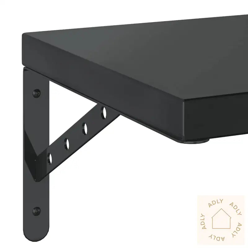 Vegghyller 2 Stk 50X30 Cm Svart Rustfritt Stål