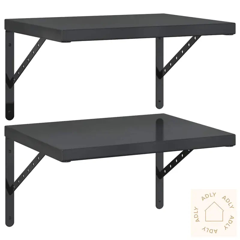 Vegghyller 2 Stk 50X40 Cm Svart Rustfritt Stål