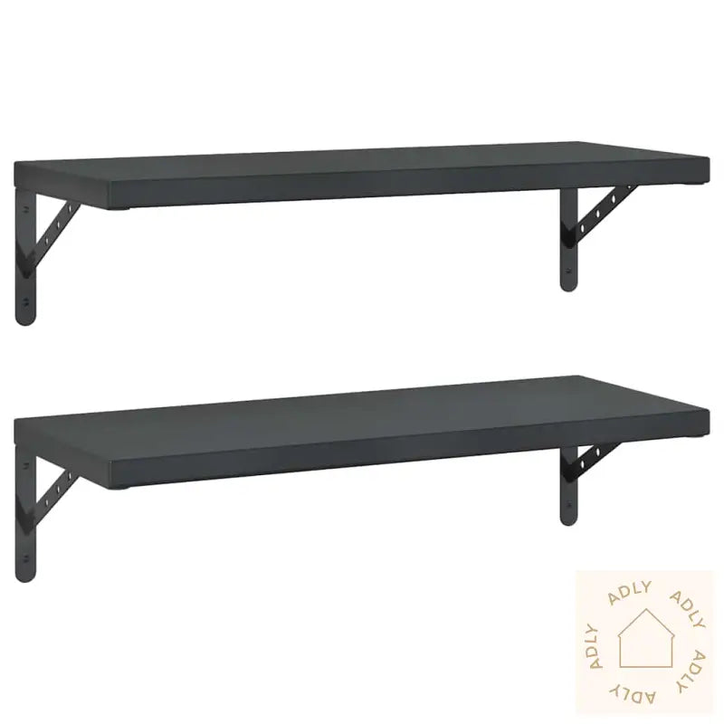 Vegghyller 2 Stk 75X30 Cm Svart Rustfritt Stål