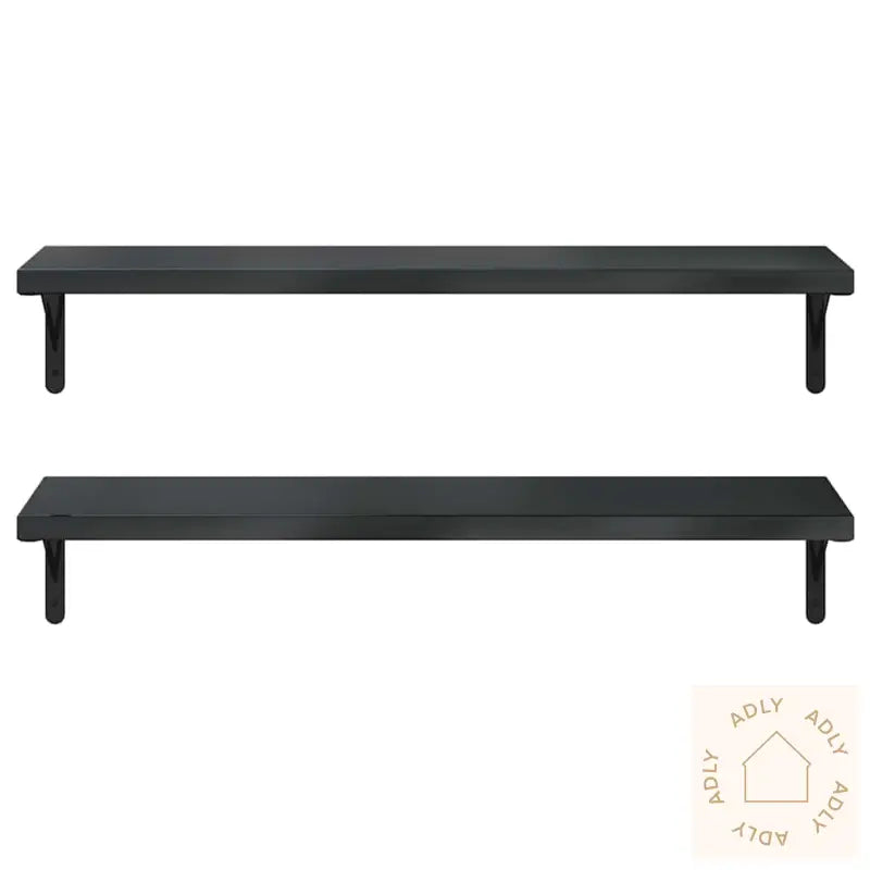 Vegghyller 2 Stk 100X30 Cm Svart Rustfritt Stål