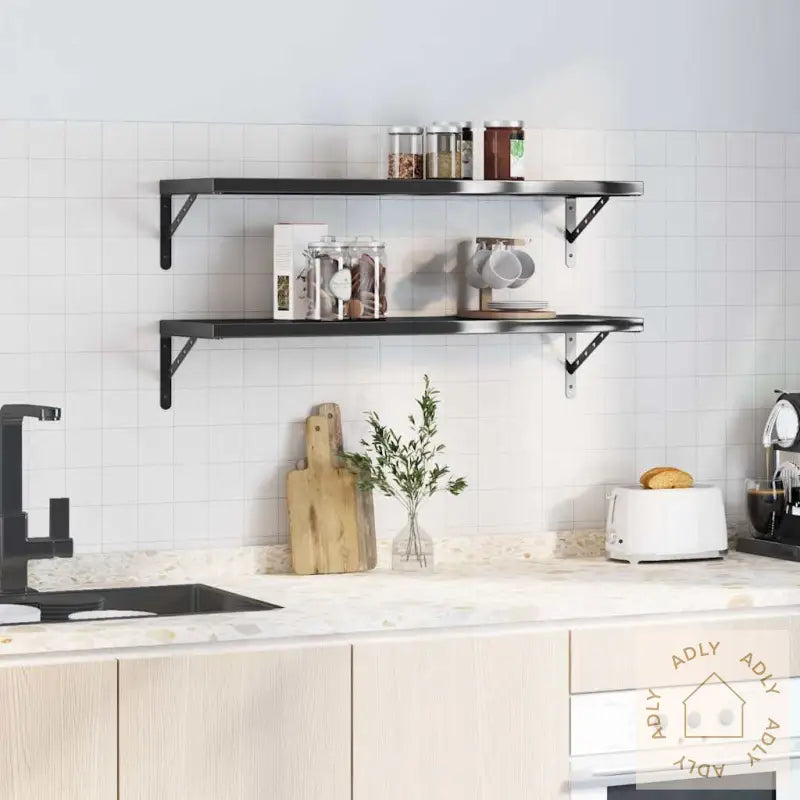 Vegghyller 2 Stk 100X30 Cm Svart Rustfritt Stål
