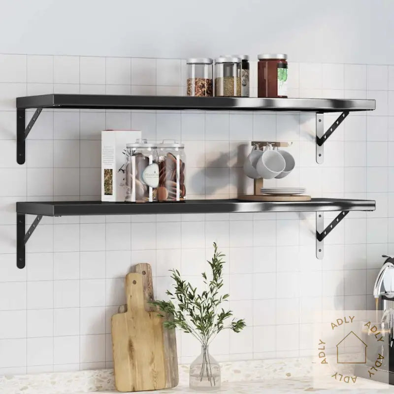 Vegghyller 2 Stk 100X30 Cm Svart Rustfritt Stål