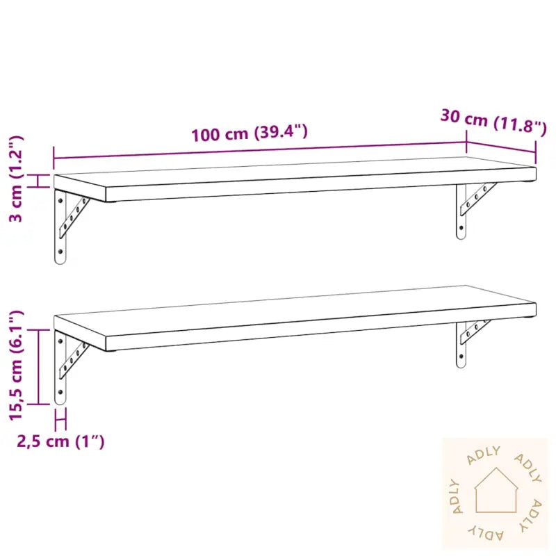 Vegghyller 2 Stk 100X30 Cm Svart Rustfritt Stål