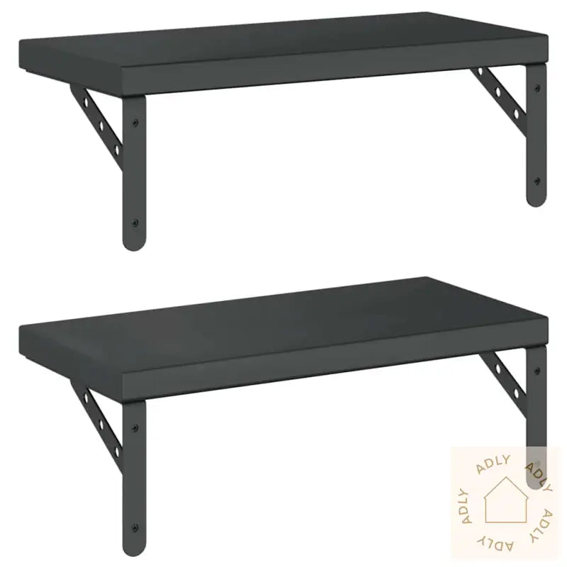 Vegghyller 2 Stk 50X23,5 Cm Svart Rustfritt Stål