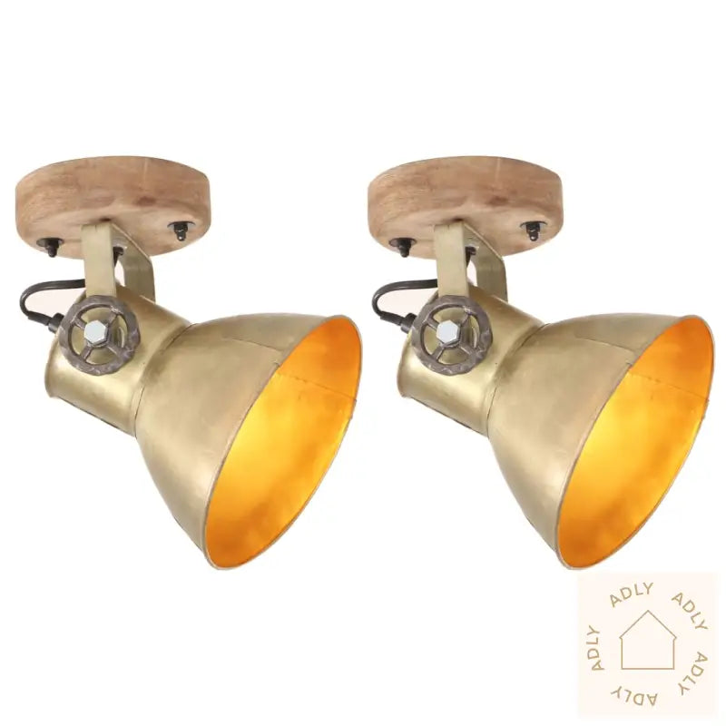 Industrielle Vegg-/Taklamper 2 Stk Messing 20X25 Cm E27