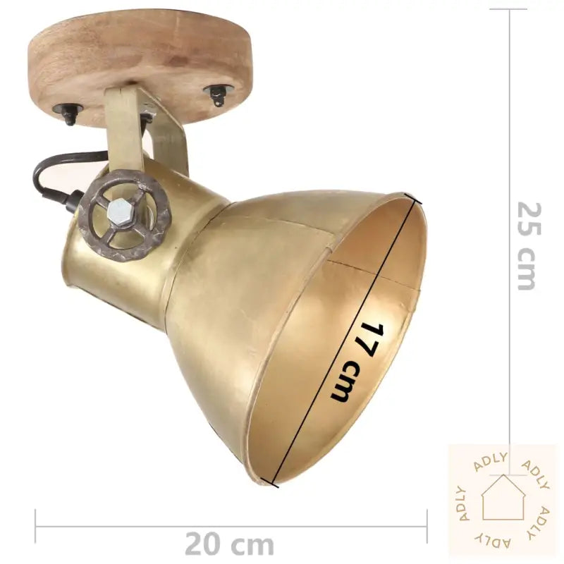 Industrielle Vegg-/Taklamper 2 Stk Messing 20X25 Cm E27