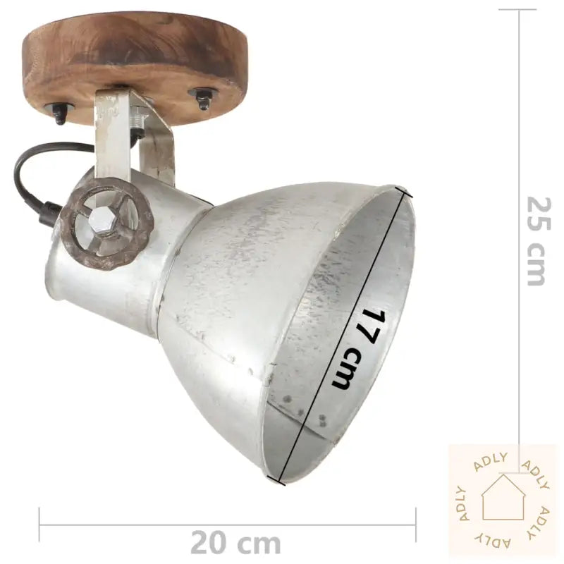 Industrielle Vegg-/Taklamper 2 Stk Sølv 20X25 Cm E27