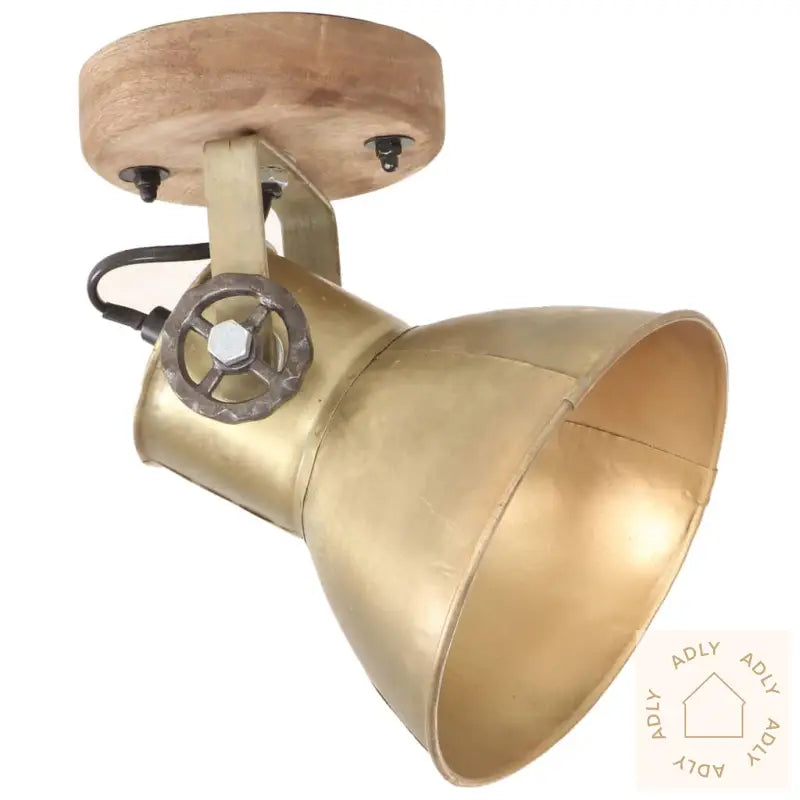 Industrielle Vegg-/Taklamper 2 Stk Messing 20X25 Cm E27