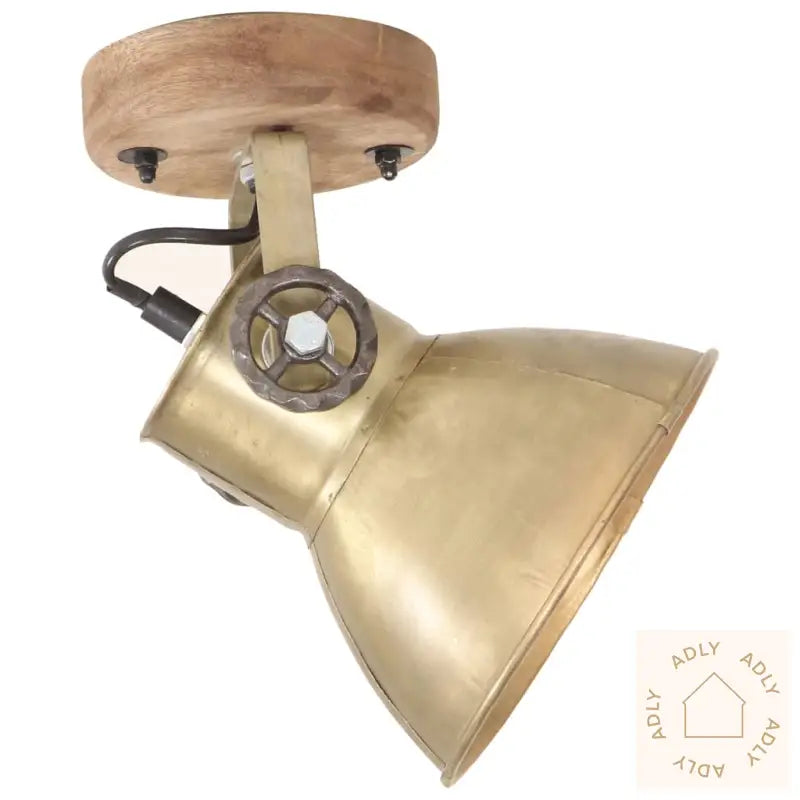 Industrielle Vegg-/Taklamper 2 Stk Messing 20X25 Cm E27