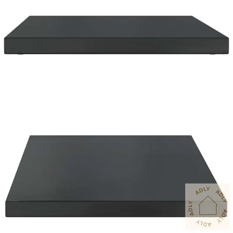 Vegghyller 2 Stk 100X40X3 Cm Svart Rustfritt Stål