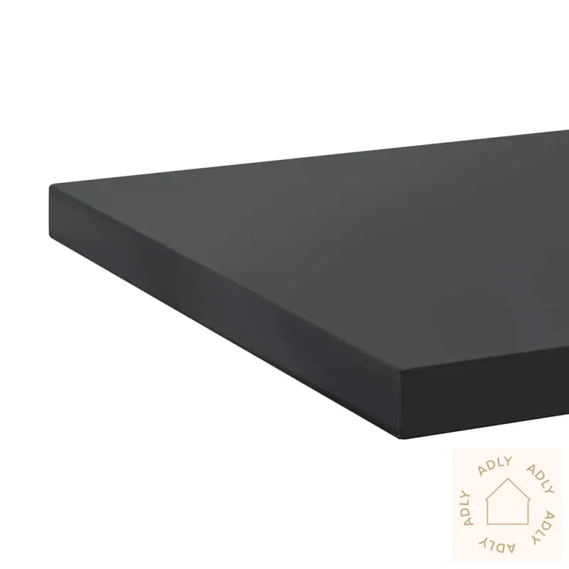 Vegghyller 2 Stk 100X40X3 Cm Svart Rustfritt Stål